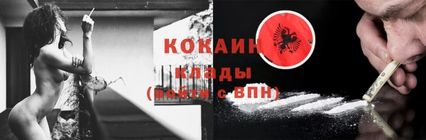 индика Абинск