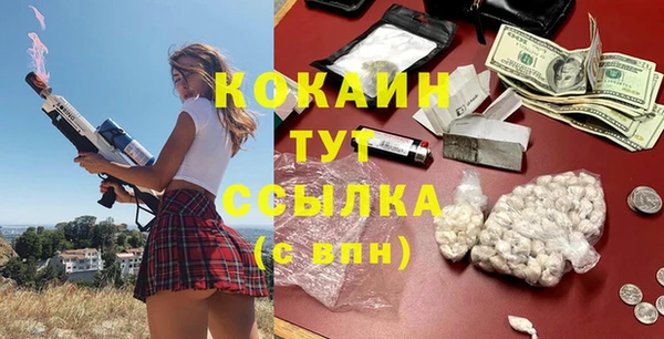 индика Абинск