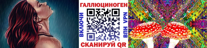 Галлюциногенные грибы Cubensis  Фрязино 